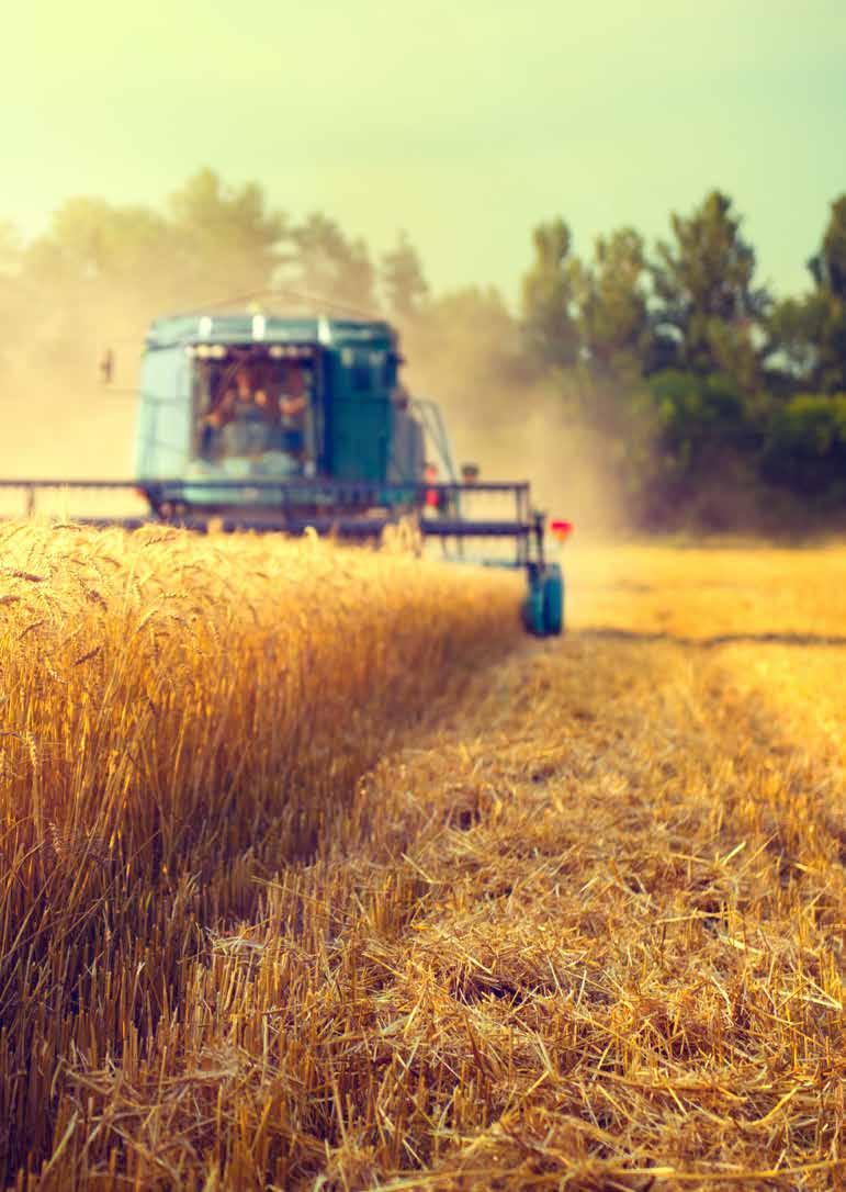 ÜLKER BİSKÜVİ 2017 Faaliyet Raporu 31 Ana hammaddemiz olan buğdayın %80 ini yurt içinden temin ediyor ve yüz binlerce üreticinin hayatına değer katıyoruz.