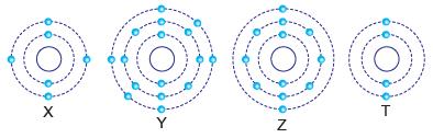 X, Y, Z ve T elementlerinin atom modelleri aşağıda verilmiştir. 5. 6. 7. 8. ve 9. soruları yukarıda verilen modellere göre cevaplandırınız. 5. Hangi elementler aynı periyottadır?