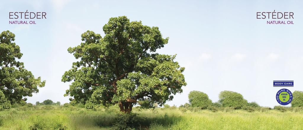 SHEA BUTTER SEED OIL Shea ağacı meyvelerinin yabani çekirdeklerinden çıkartılan %100 bitkisel bazlı kökenli üründür. Afrika dan temin edilmiştir.