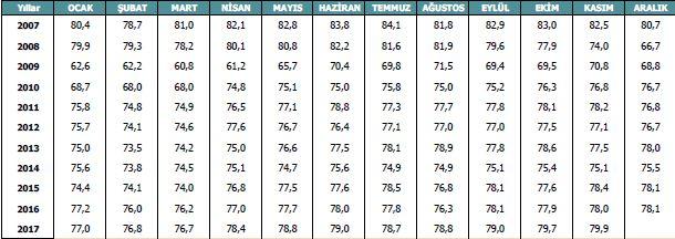 İmalat Sanayi Kapasite