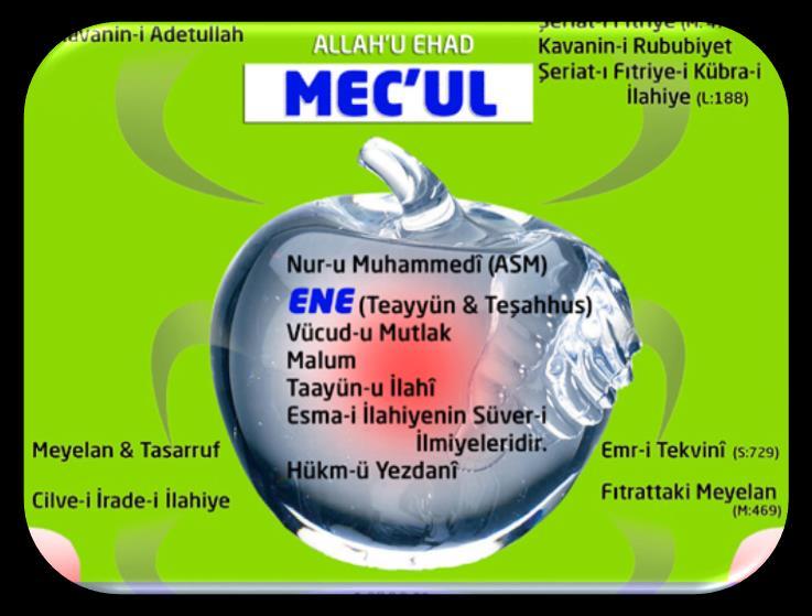 Allah kainatı yaratmaya karar verdi ve bu çekirdeği yarattı. Bu çekirdeğin adı Mec uldür. Orada her şey var. Bunun adı Nur-u Muhammedidir aynı zamanda. Bütün Eneler buradadır.