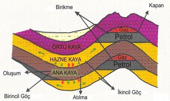 GELENEKSEL PETROL/GAZ SİSTEMİ Geleneksel petrol/gaz sistemi kaynak kaya, hazne kaya, örtü