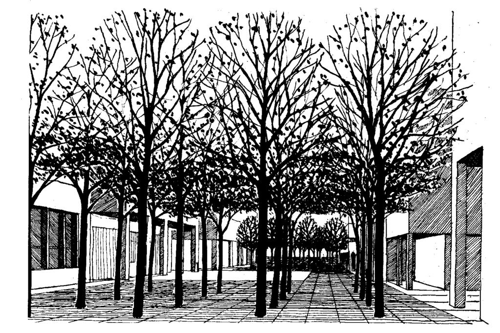 Kentlerde bitkisel tasarımda, özellikle büyük ağaçlar söz konusu olduğu aralarındaki mesafe istenilen etkiyi verebilmesi için önem