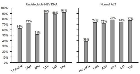 Etkinliği HBeAg (-) Hastalarda Antiviral Tedavinin Etkinliği Saptanamayan HBV DNA ALT normalleşmesi HBeAg (+) Hastalarda