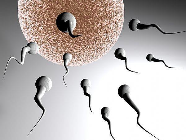 Döllenme ve Gebeliğin Oluşumu Gebelik isteniyorsa, yumurtlama(fertil) günlerinde cinsel ilişkide bulunulur.(sperm 48 72 saat, Ovum 24 48 saat canlı kalabilir.