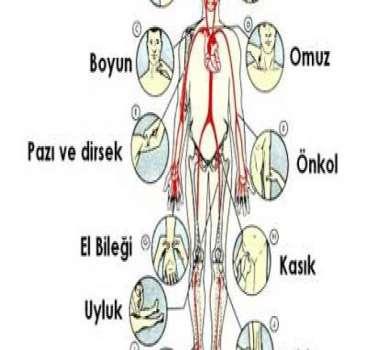 Dolaşım Cilt renginin değerlendirilmesi yararlı Gözlemde nabız ve bilinç düzeyi takibi önemli - Hipotansiyon aksi