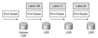 kullanarak yerel etiket yönlendirme veri tabanını oluşturur (Label Forwarding Information Base-LFIB).