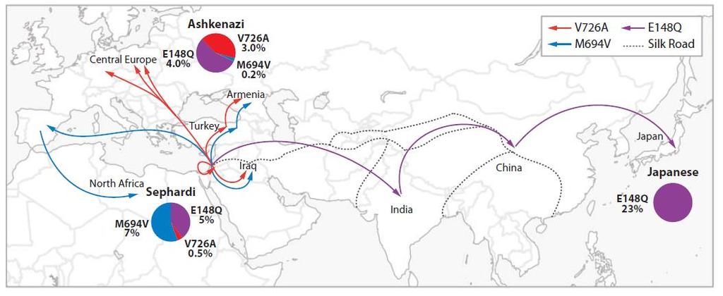 Ailevi Akdeniz Ateşi - Prevalans