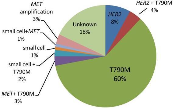 EGFR TKİ Direnç Mekanizmaları MET amplification 3% HER2 + T790M 4% Small cell+met 1%