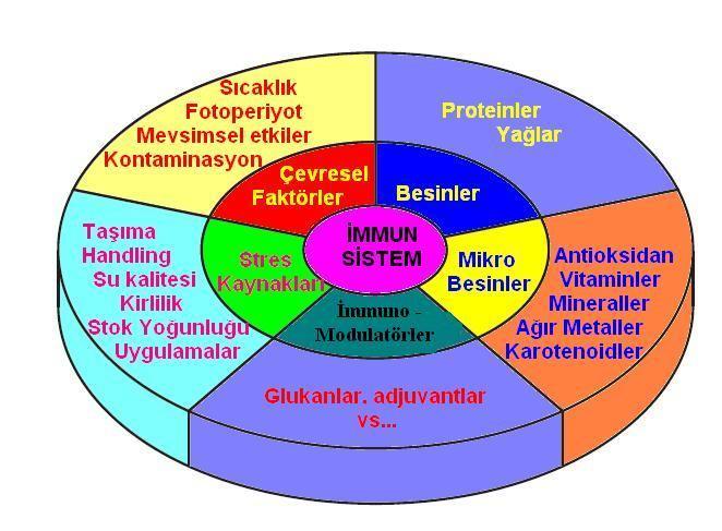 önemli etki yapmaktadır. Enzimler ve hormonların salgılanmasında fotoperyot ve mevsimsel faktörler 1. derecede önemlidir. Kontaminasyonlar bağışıklık sisteminin uyarılması açısından çok önemlidir.