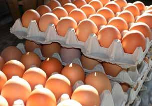 Söz konusu yumurtaların daha çok Migros M-Budget ve Aldi Schweiz gibi alışveriş merkezlerinde satıldığı, bu merkezlerde satılan zehirli yumurtaların, olayın açığa çıkmasının ardından çok kısa bir