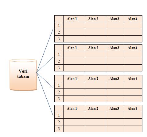 İlişkisel Veri Tabanın Genel bir Yapısı Birden fazla tablodan
