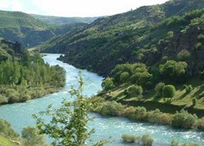 aspirasyon ile yayılır 4) Toplum / hastane kaynaklı LH Klinik 1) Duyarlı bireylerde pnömoni 2) Yüksek