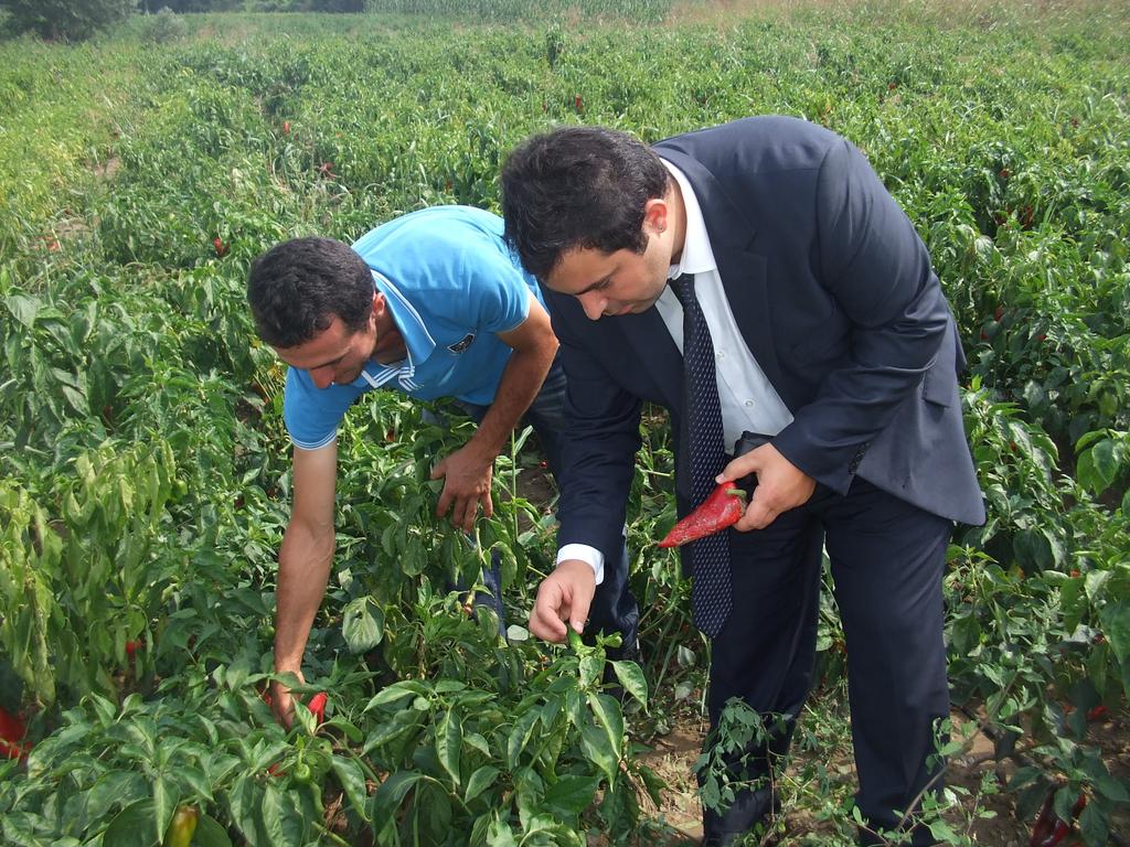 önceki Daha sayıları www.msmeturkey.cm adresinden indirebilirsiniz. Bülten ile ilgili her türlü sru ve öneriniz için lütfen msmeturkey@int.fs.de adresinden bizimle iletişime geçiniz.