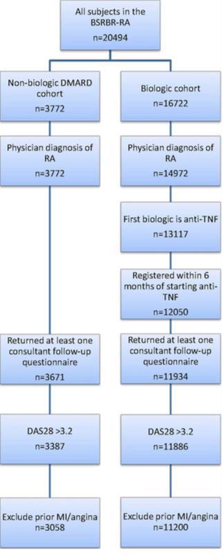 Anti TNF alan RA hastalarında miyokard infarktüs sıklığı RA lı hastalarda normal topluma göre MI için %60; MI den ölüm için %70 risk artışı var Bu risk artışı inflamasyon - ateroskleroz ilişkisiyle