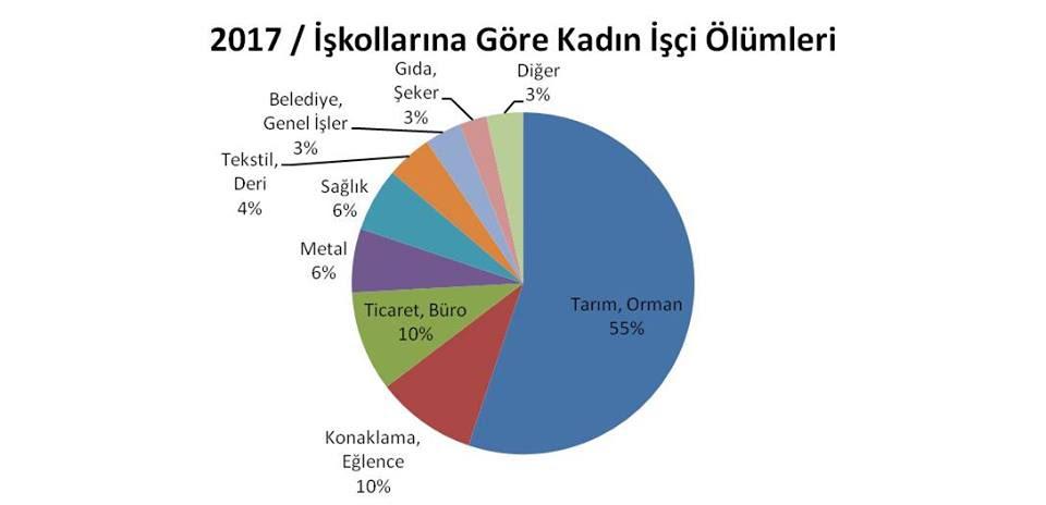 Kadın istihdamının yoğun olduğu alanlarda kadınlar kayıt dışı çalıştırılıyor Özellikle mevsimlik tarım işçileri SGK verilerinde yer almamaktadır.