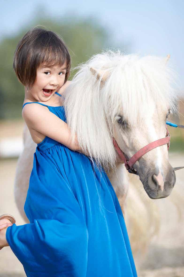 PONY CLUB En şirin atlar burada.