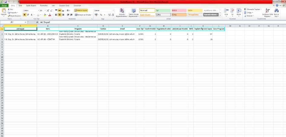 butonu tıklanarak excel olarak indirilebilir. 3.6.