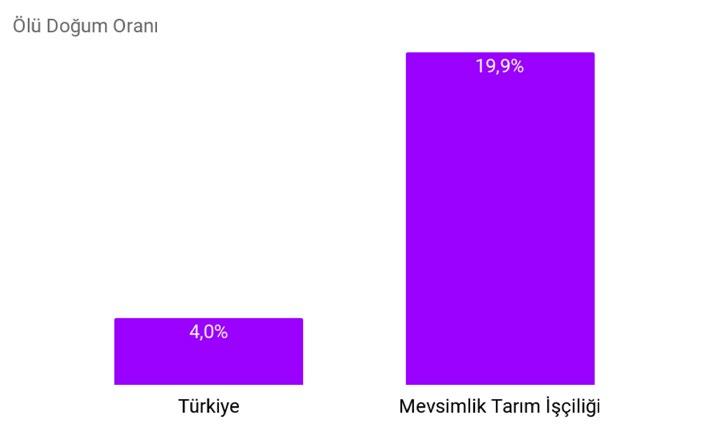 2012) Mevsimlik tarımda çalışma ve yaşam koşulları; temel ihtiyaçlara erişim: Mevsimlik tarım döngüsünde yer alan aileler