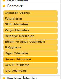 3 Sanal Kese Kavramı ve Yüklemesi 3.1 Sanal Kese Nedir? Sanal Kese, istanbulkart Temsilcilerinin ön ödemelerini yaptıkları Belbim A.Ş. merkezde bulunan o temsilciye ait hesaptır.