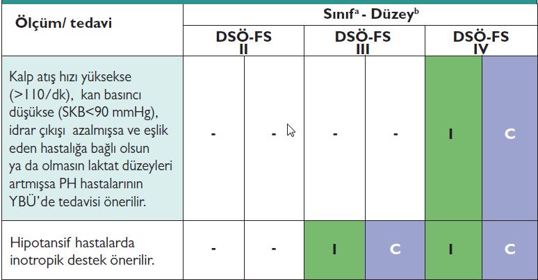 Dünya Sağlık Örgütü fonksiyonel