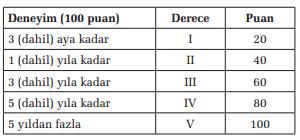 Puan Yöntemi Uygulama Örneği iii.