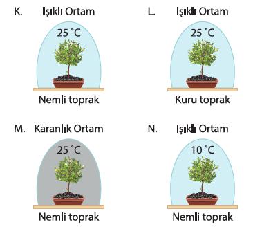 Belirteç Asit Çözeltisi Baz Çözeltisi Metil Oranj Kırmızı Sarı Fenolftalein Renksiz Kırmızı Gülcan X çözeltisine metil oranj, Y çözeltisine ise Fenolftalein damlatıyor.