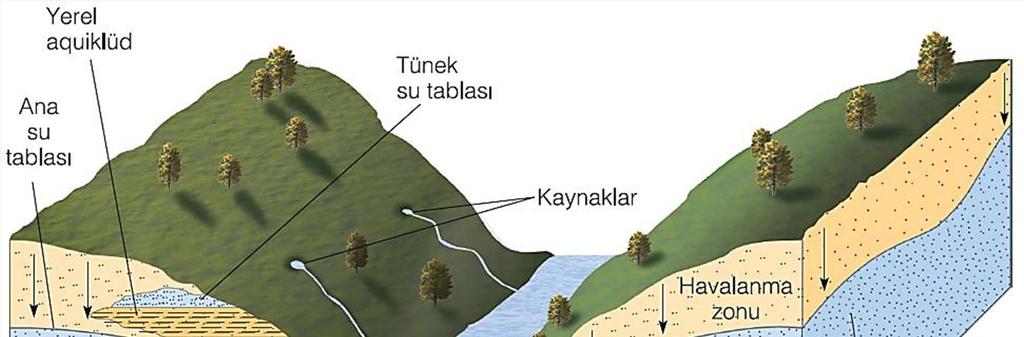 Yeraltısuyu havalanma kuşağından doygunluk kuşağına doğru hareket eder.