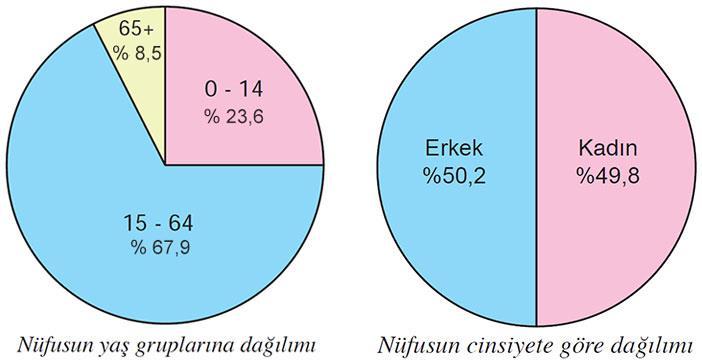 Ortanca yaş, nüfusu oluşturan kişilerin yaşları, küçükten büyüğe doğru sıralandığında ortada kalan kişinin yaşıdır. Buna göre, nüfusun yarısı bu yaştan küçük, diğer yarısı da bu yaştan büyüktür.