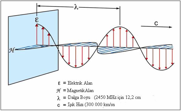 4 Tablo 2.1: Elektromanyetik spektrumun genel sınıflaması [29-142] İyonlaştıran Radyasyon İyonlaştırmayan Radyason Fotonun Bölgesi Dalga Boyu Frekans (Hz) Foton Enerjisi Gama ışını 0.