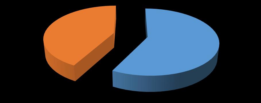 28 Kız Erkek 42% 58% Şekil