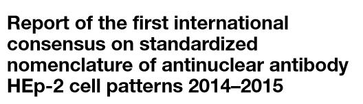 2008-Kalite kontrol önerileri, transfekte HEp hücrelerinin kullanımı (HEp2000), yeni paternler (DFS, Rod&Ring Shape) 2013; İLK ULUSLARARASI UZLAŞI RAPORU YAYINLANDI