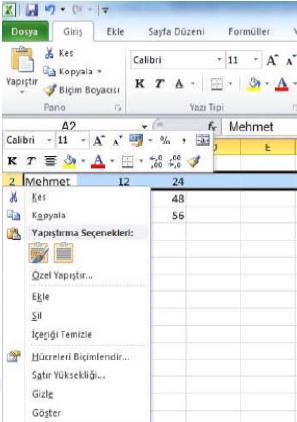 2.4.3. Satır ve Sütun Gizleme Bir tabloda bulunan herhangi bir satırı gizlemek için gizlemek istediğiniz yerde bulunan satır harfi üzerinde sağ tıklarsınız. Resim 2.