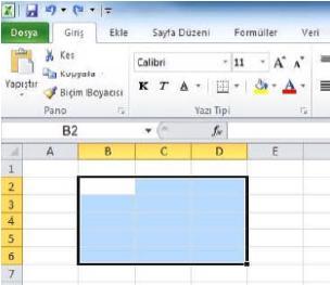 Etkinleştirdikten sonra, klavyeden yeni veriyi girerek istenilen hücredeki veriyi değiştirebilirsiniz. 2.