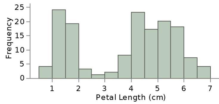 Veri Görselleştirme Histogram