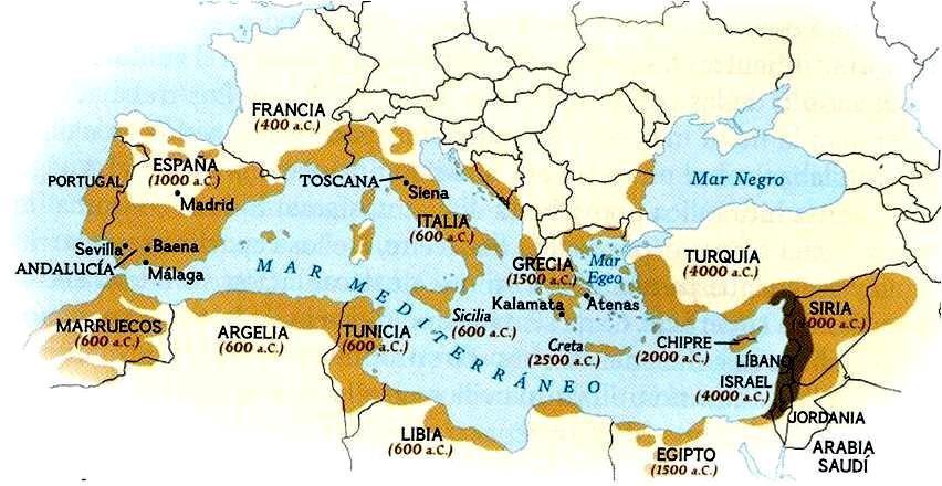 1. GİRİŞ Oleacea familyasının bir üyesi olan zeytinin (Olea europaea L.) anavatanı, Güneydoğu Anadolu Bölgesi ni de içine alan Yukarı Mezopotamya ve Güney Ön Asya dır. Günümüzde 20.