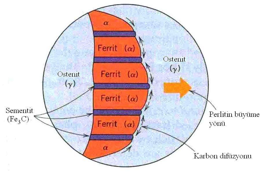 Ostenit fazının perlite dönüşümü sırasında karbon atomları, tane sınırlarından başlayıp içeri doğru büyüyen sementit lamellerini oluşturacak şekilde bir araya gelir ve lamellerin arasında karbonca