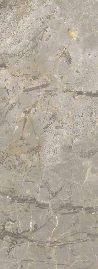 a jewel stone SILVER is available in block and slabs. Special sizes are available, pls. consult us for more information.
