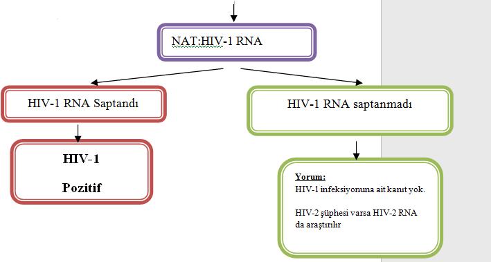 Tanı rehberi Bölüm-2: hıv enfeksiyonlarının taranması, tanısı ve takibinde kullanılan testler,