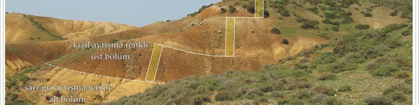 görünümü, (b) üst bölümden alınan ölçülü stratigrafik kesit yeri, (c) üst bölümün litolojik özellikleri ve kil örnek lokasyonları.