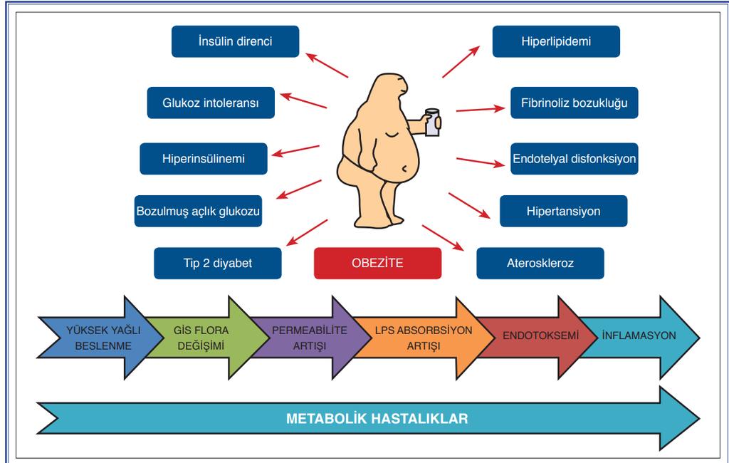 Diyabet Kilo alımının diyabet riskini artırdığı bilinmektedir ve tip 2 diyabet riski obezitenin derecesi, süresi ve abdominal obezite varlığı