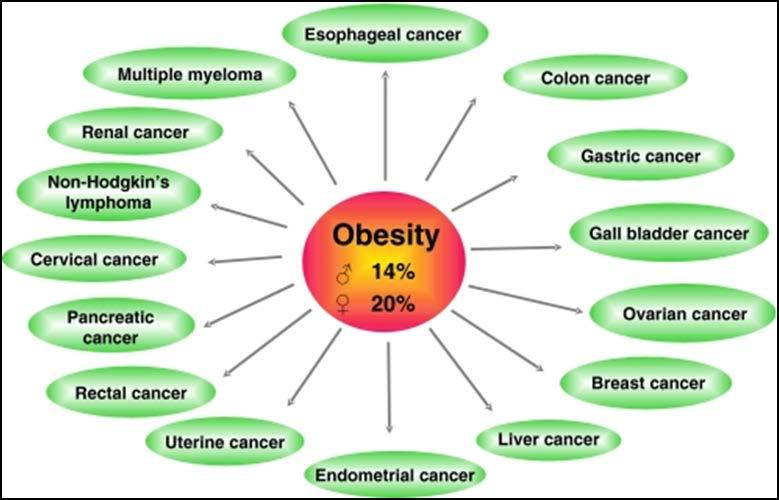 Kanser Obezite bazı kanser türleri ile ilişkili bulunmuştur.