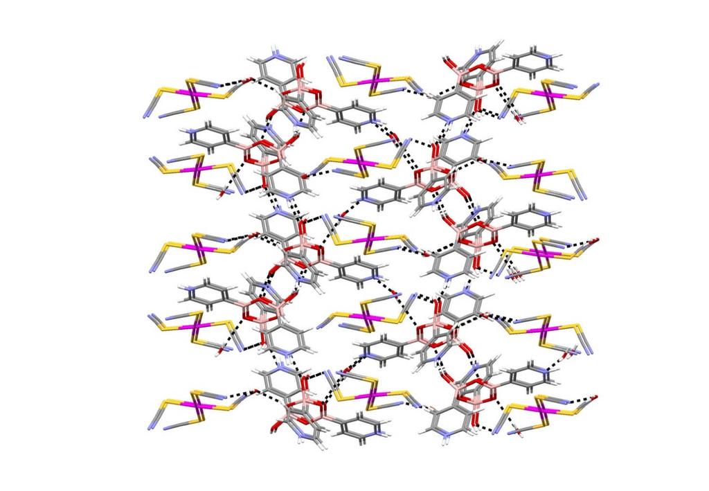 Şekil 4.6: FDY2 kompleksinin Pd-SCN HN(boroksin) ve Pd-SCN HO(su) hidrojen bağlarıyla bağlanarak paketlenmiş 1D yapısı.