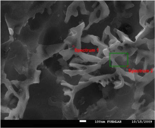 Yüksek büyütmelere çıkılarak elde edilen fotoğrafta nano boyutlu dendrit yapı % 1,3 vanadyum katkılı numunede de görülmüştür (Şekil 9).