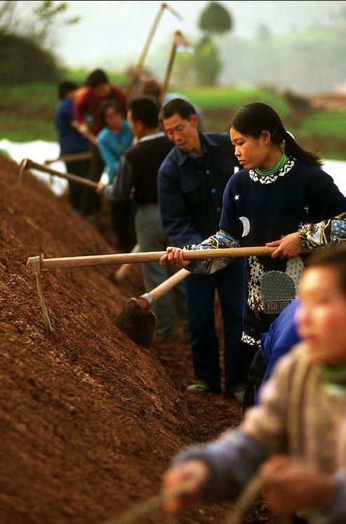 ÜRETİM ARTIŞININ geçmiş yıllara göre yavaşlaması bekleniyor.