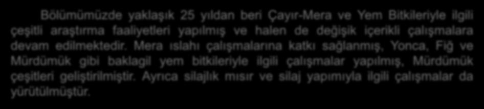 Bölümümüzde yaklaşık 25 yıldan beri Çayır-Mera ve Yem Bitkileriyle ilgili çeşitli araştırma faaliyetleri yapılmış ve halen de değişik içerikli çalışmalara devam edilmektedir.