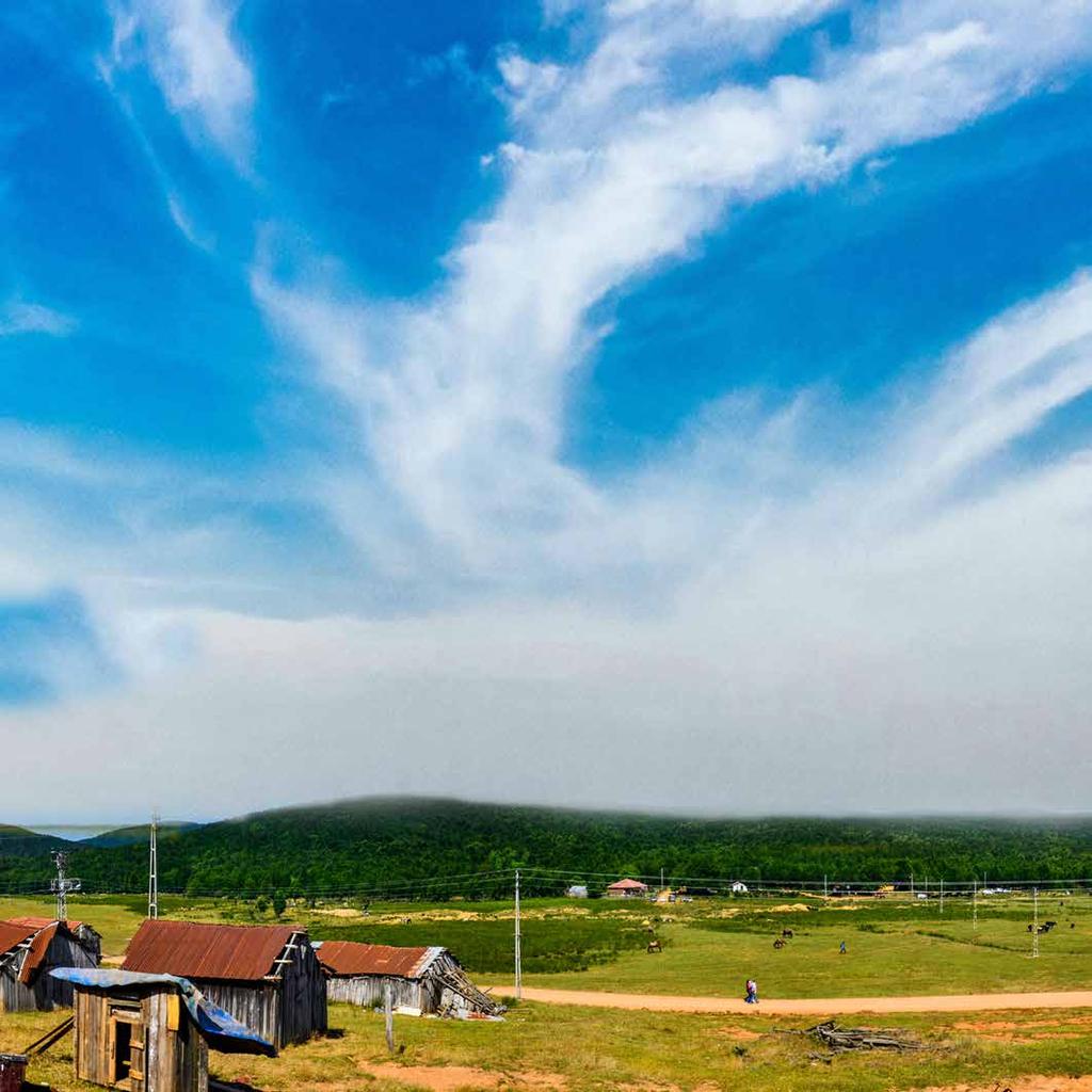 Delmece Yaylası Delmece Highland Delmece Yaylası Çınarcık İlçesi ne bağlı Teşvikiye Beldesinden çıkılan ve sahilden 17 km içeride, tamamı asfalt yol olan ve çok geniş düzlük bir alanı kaplayan, eşsiz