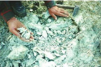 Asbest maruziyeti tespit edilen bölgelerde kayaçlarda yapılan mineralojik analizlerde amfibol - asbest minerallerinin (tremolit ve tremolit cinsi) varlığı tespit edilmiştir.