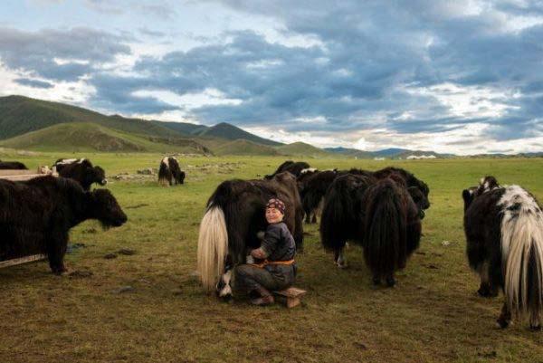 BAĞIMSIZ YAŞAMA AZMİ üatlı-göçebe Altay-Ural toplumları, üstün devletler kurma ve örgütlenme yeteneği übüyük hayvan sürüleri beslemek, geniş alanlarda dolaşmak, sürülerin idaresi, mera çatışmaları,