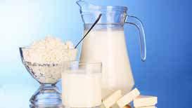 Süt Pastörizatörü Süt ve süt ürünleri için gerekli olan pastörizasyon